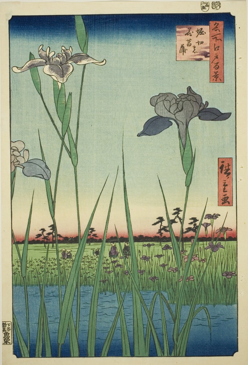 Irase s em Horikiri (Horikiri no Hanadokorobe), da série ``Ridge dre d fa net s views of Edo (One Hundred Famous Views of Edo)