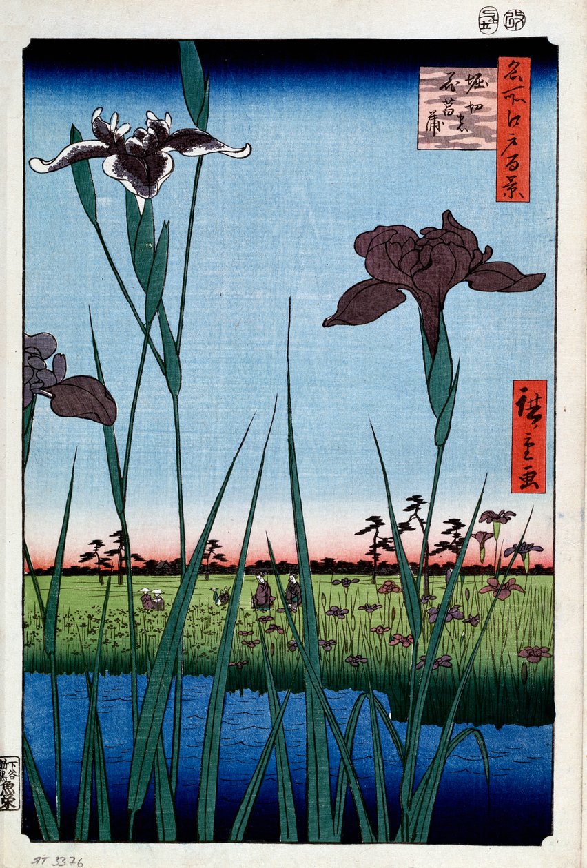 Íris em Horikiri cem vistas famosas de Edo, 1856-1858. de Utagawa Hiroshige