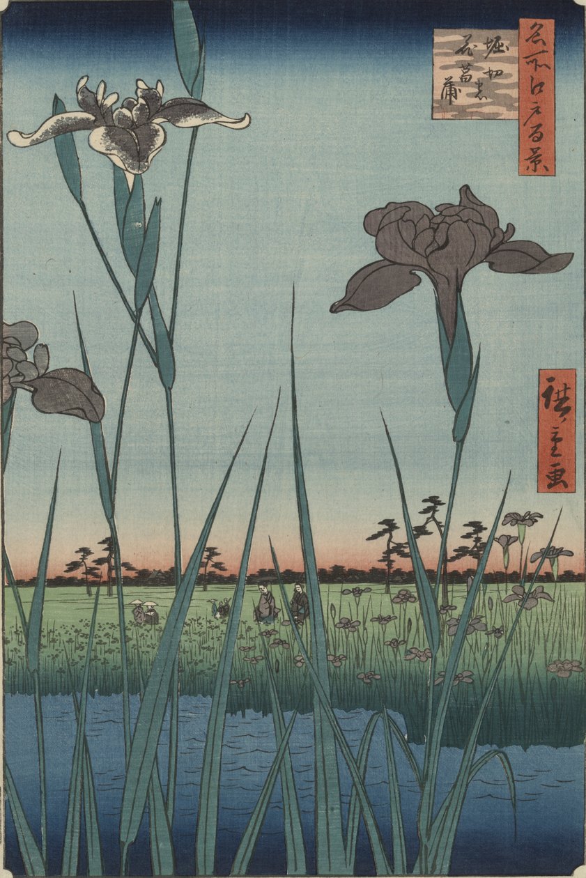Irises of Horikiri, da série Cem Vistas Famosas de Edo de Utagawa Hiroshige
