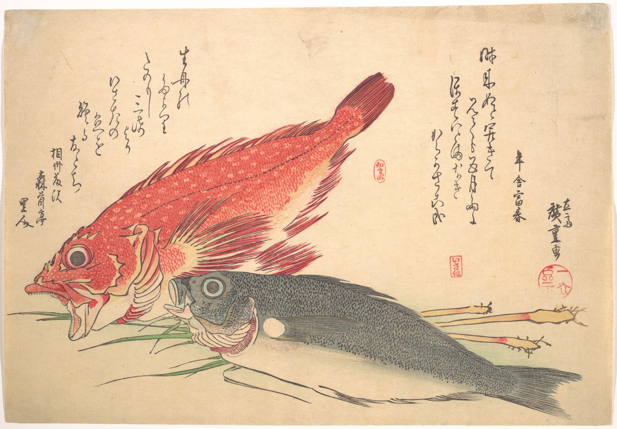 Peixes Isaki e Kasago, da série Uozukushi (Todas as variedades de peixe) de Utagawa Hiroshige