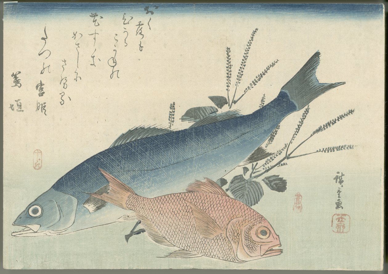 Robalo-japonês, sargo-de-olhos-dourados e planta shiso de Utagawa Hiroshige