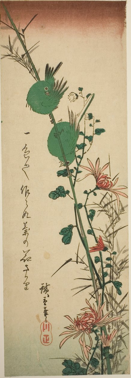 Olhos brancos e crisântemos japoneses de Utagawa Hiroshige