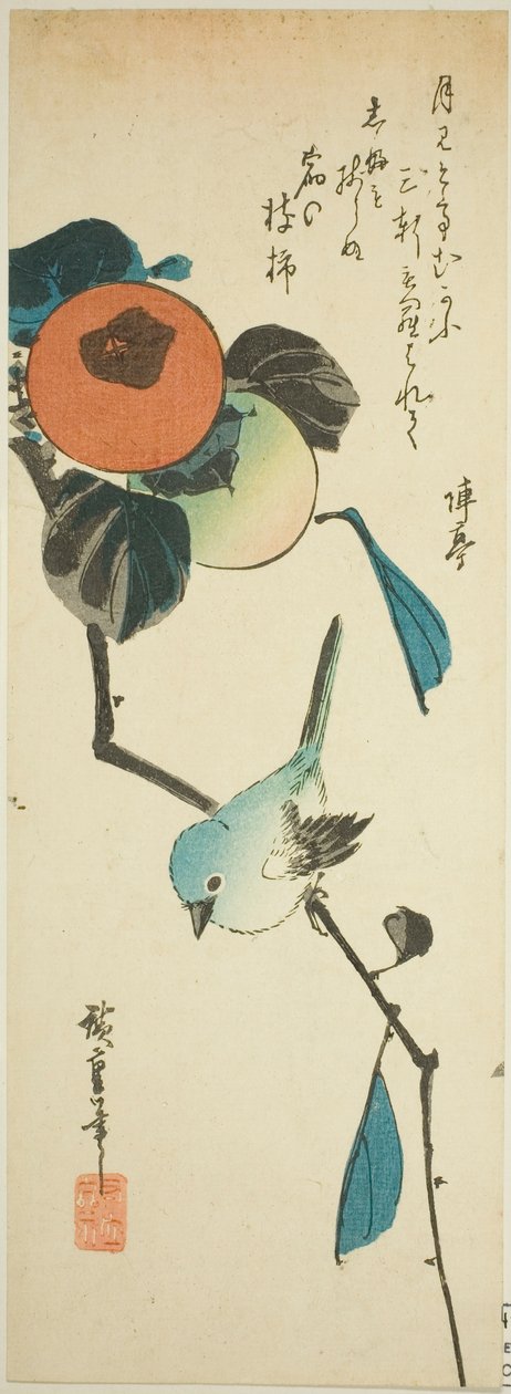 Olho branco e caquis japoneses de Utagawa Hiroshige