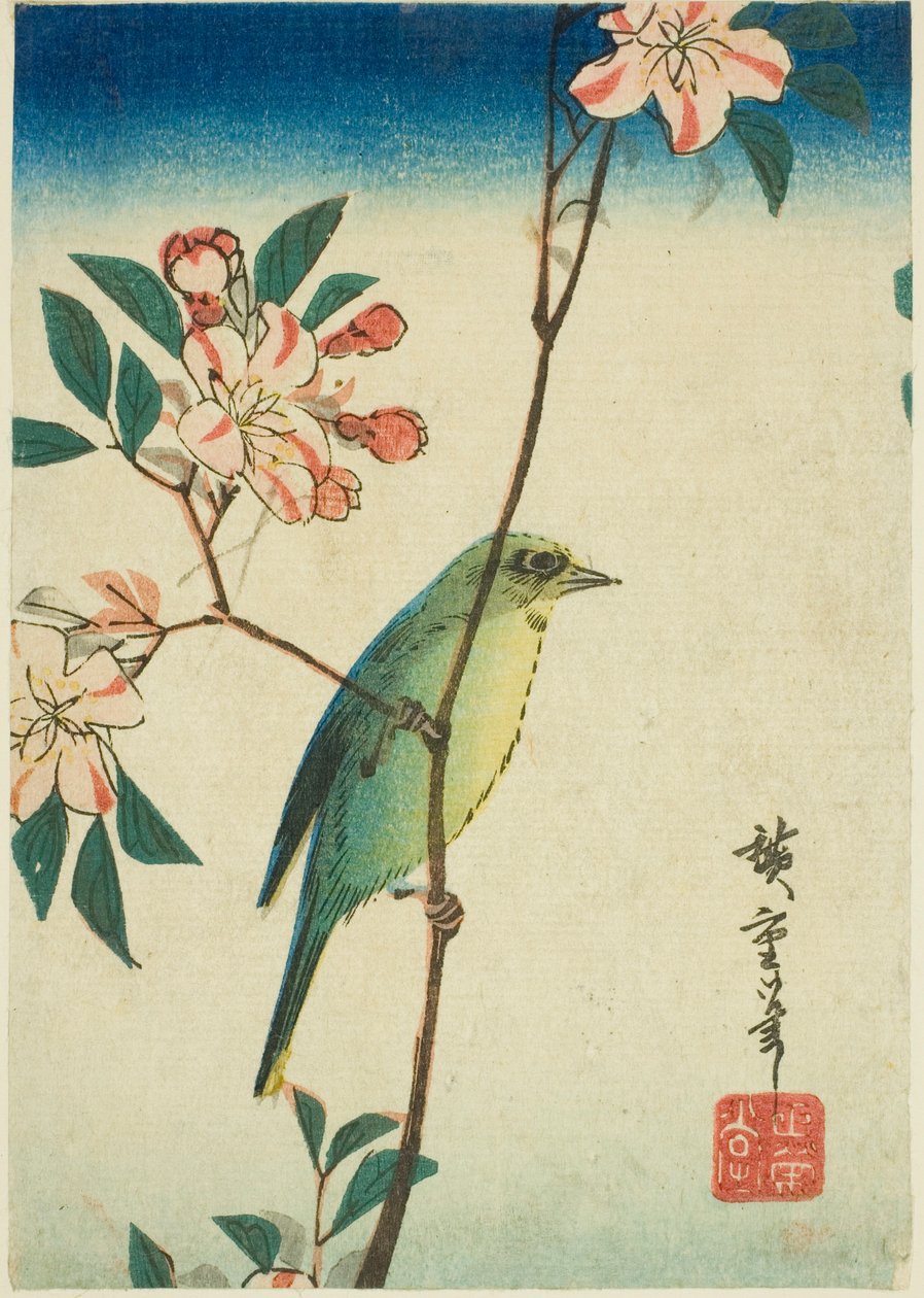 Olho branco japonês no ramo de floração de Utagawa Hiroshige