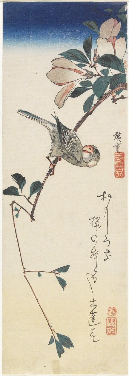 Java Sparrow e Magnolia, 1834-1839 de Utagawa Hiroshige