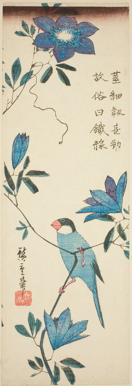 Pardal de Java e clematite de Utagawa Hiroshige