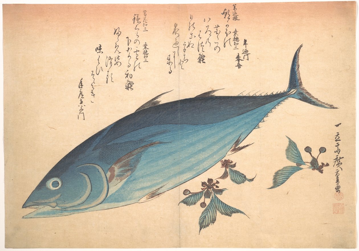 Peixe katsuo com botões de cerejeira, da série Uozukushi (Todas as variedades de peixe) de Utagawa Hiroshige