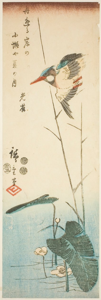 Martim-pescador acima de uma planta aquática de flores amarelas de Utagawa Hiroshige