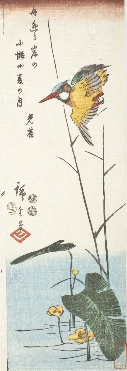 Guarda-rios e caniços de Utagawa Hiroshige