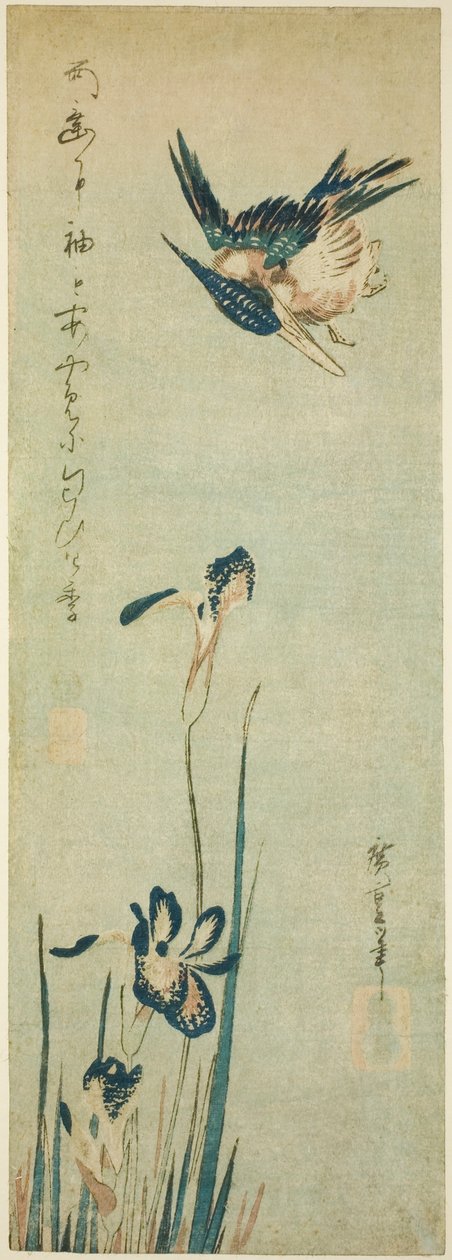 Martim-pescador e íris de Utagawa Hiroshige