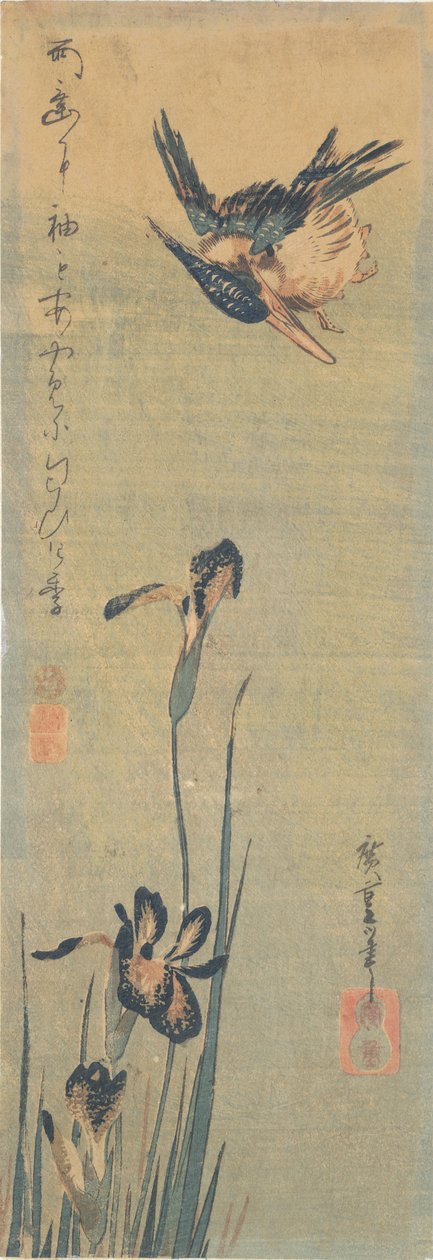 Kingfisher a sobrevoar uma íris de Utagawa Hiroshige