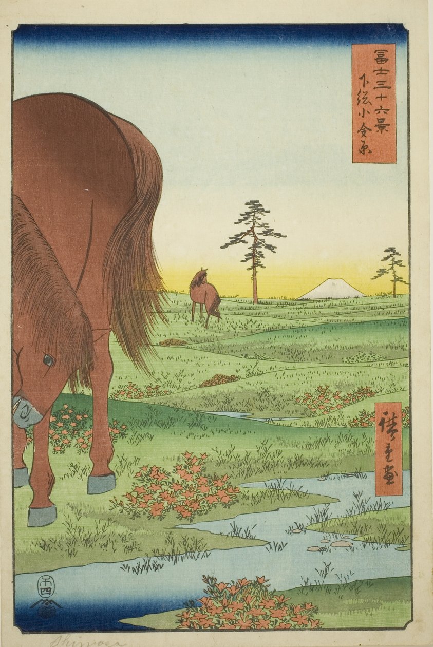 Ogane P fine membro Gesasa P Rovinse (Shimosa Koganehara), da série "Ti rty Mr. x View of mo t Fuji (Fuji Usaju Rokukatsu)" de Utagawa Hiroshige