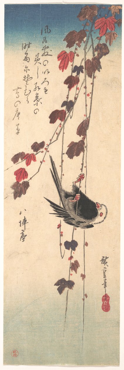 Chapim-de-cauda-longa numa hera de outono de Utagawa Hiroshige
