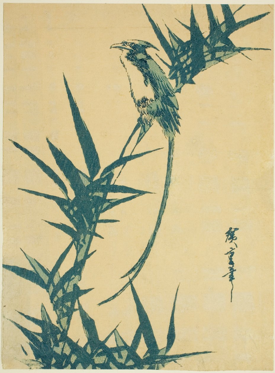 Pássaro de cauda longa e bambu de Utagawa Hiroshige