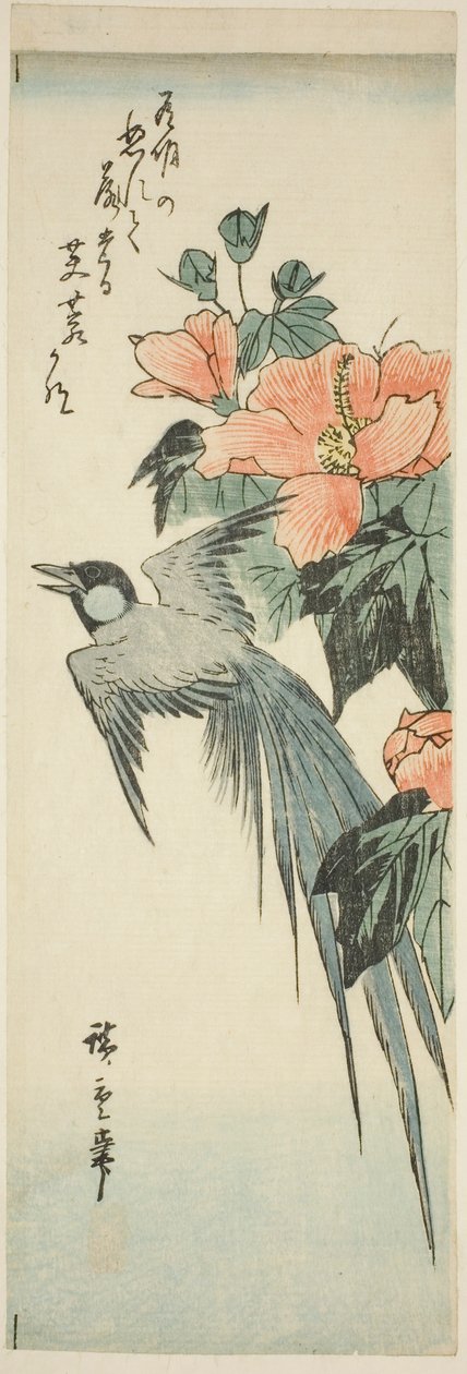 Ave de cauda longa e hibisco de Utagawa Hiroshige