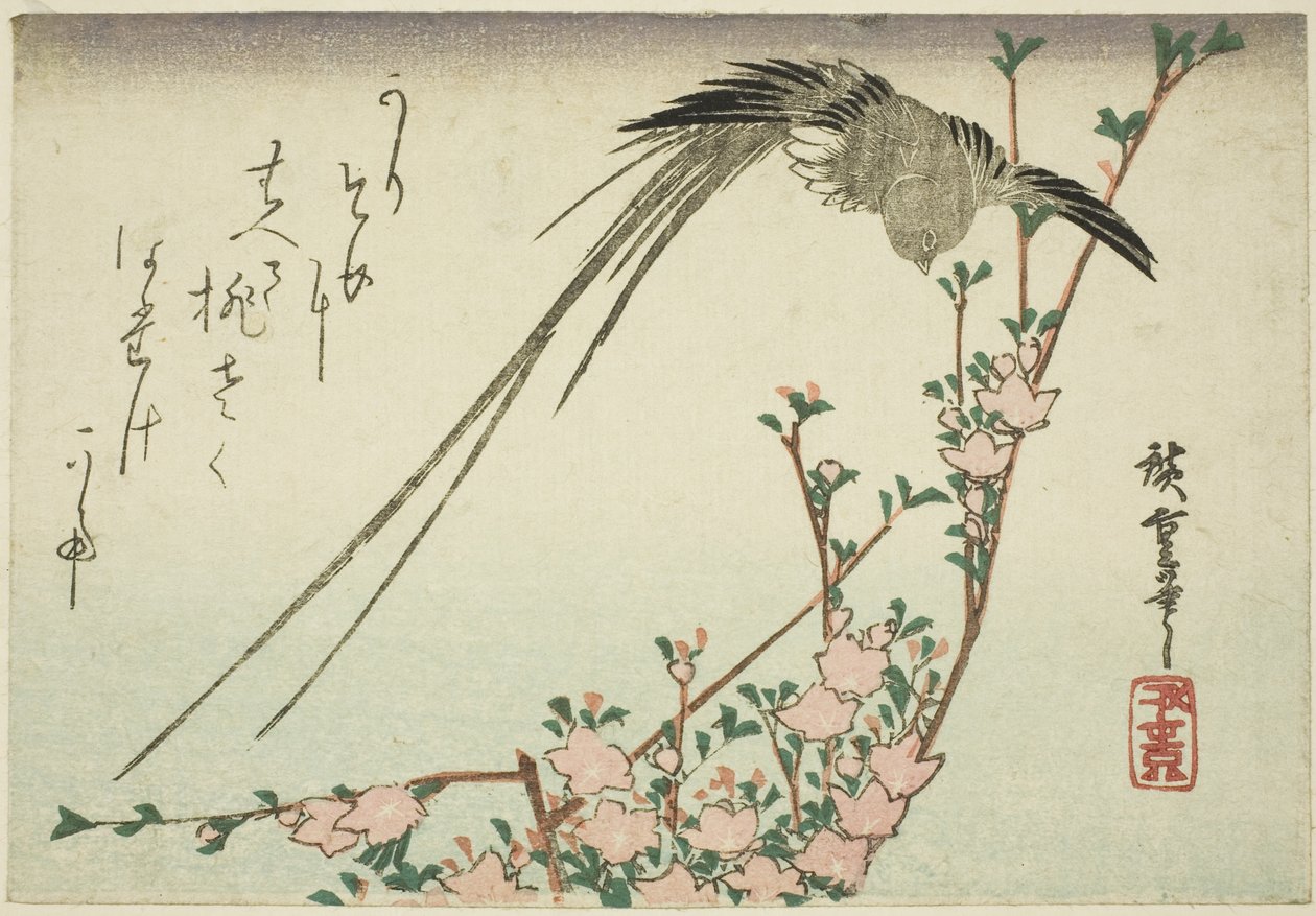 Pássaro de cauda longa e flores de pêssego de Utagawa Hiroshige