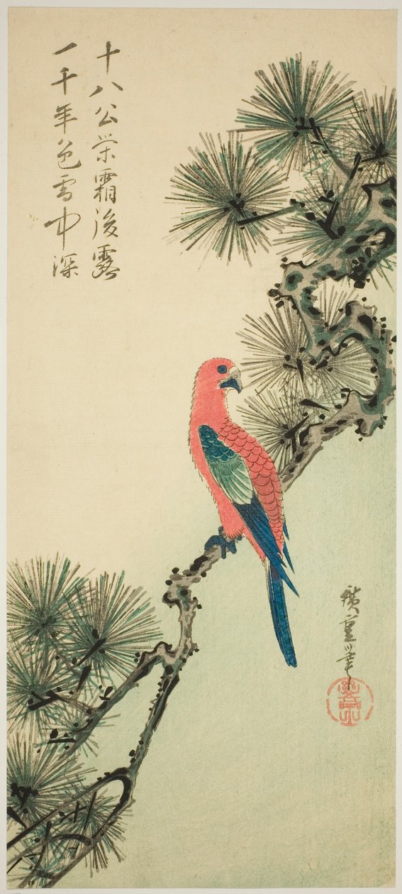 Arara em um galho de pinheiro de Utagawa Hiroshige