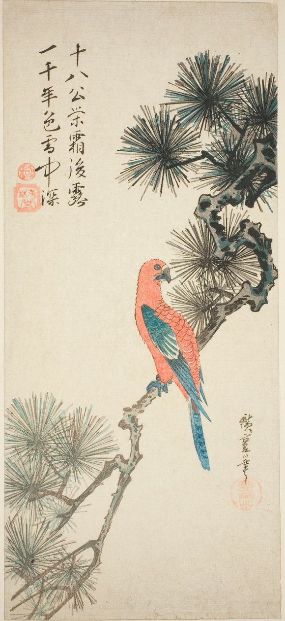 Arara em um galho de pinheiro de Utagawa Hiroshige