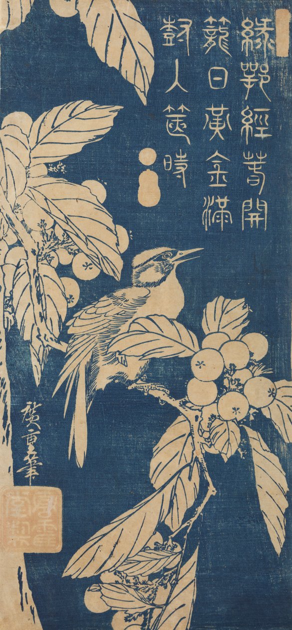 Nespereira-japonesa e um pequeno pássaro / Biwa ni kotori de Utagawa Hiroshige