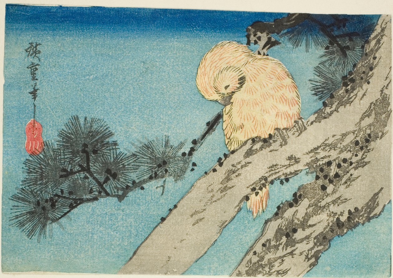Coruja em galho de pinheiro de Utagawa Hiroshige