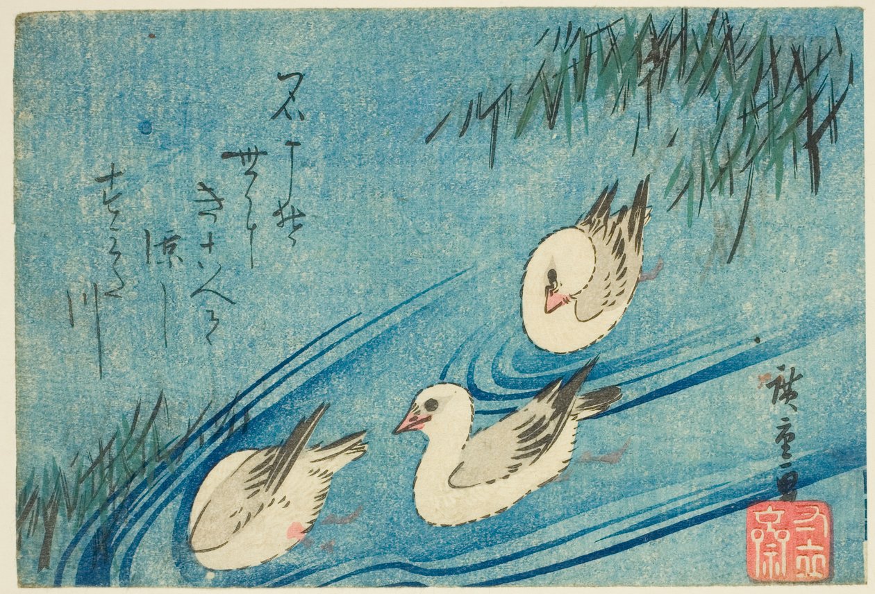 Ostraceiros de Utagawa Hiroshige