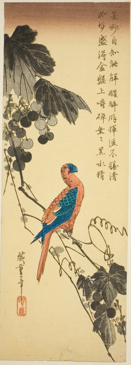Papagaio em uma videira de Utagawa Hiroshige