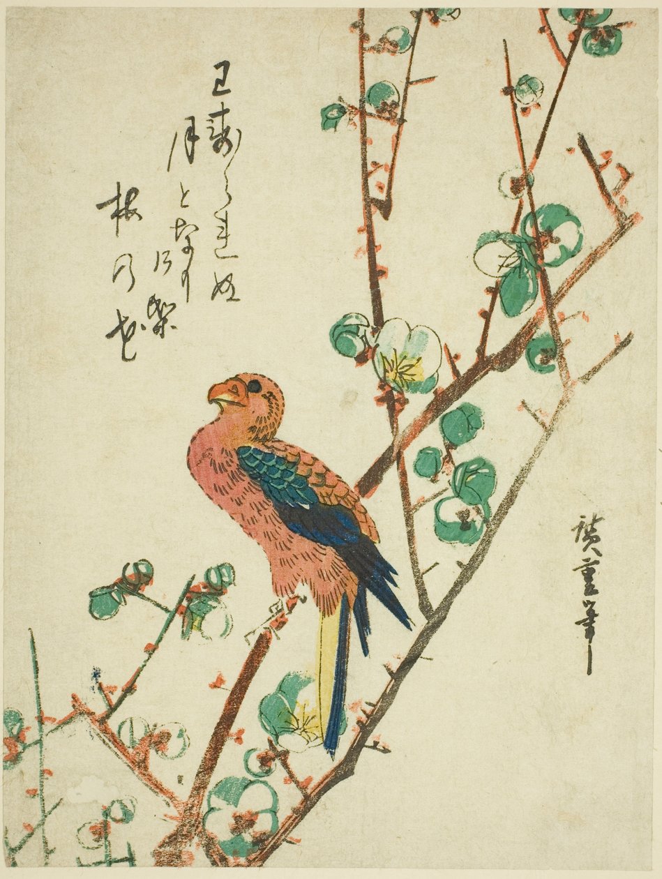 Papagaio na árvore de ameixa de Utagawa Hiroshige
