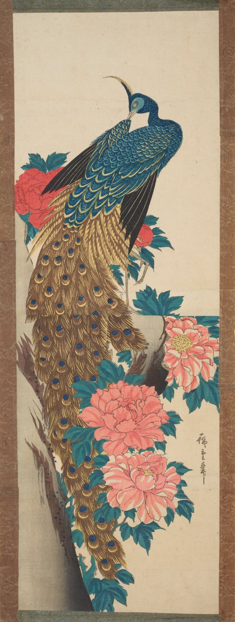 Pavo e flores de peônia / Botan ni kujaku de Utagawa Hiroshige