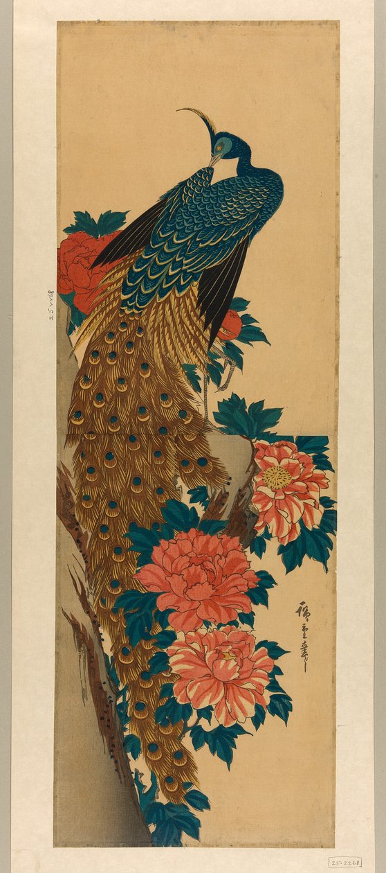 Pavão e peônias de Utagawa Hiroshige