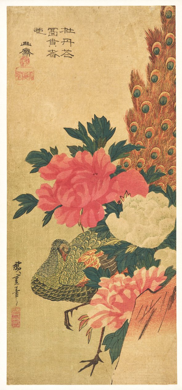 Peónias e pavão de Utagawa Hiroshige