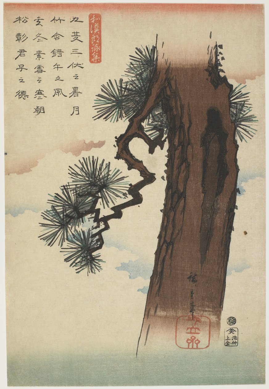 Pinheiro, 1837-1844 (impressão em xilogravura a cores) de Utagawa Hiroshige