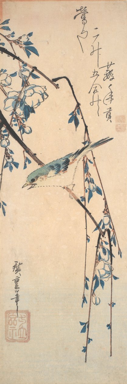 Rabo-azul-de-lanco-vermelho num ramo de cerejeira de Utagawa Hiroshige