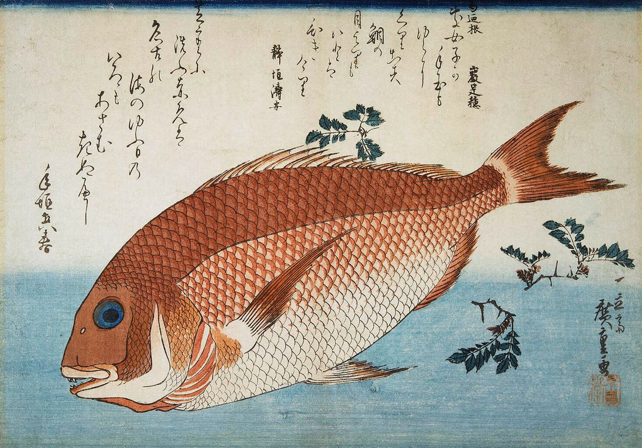 Dourada do Mar Vermelho, 1832-1834. de Utagawa Hiroshige