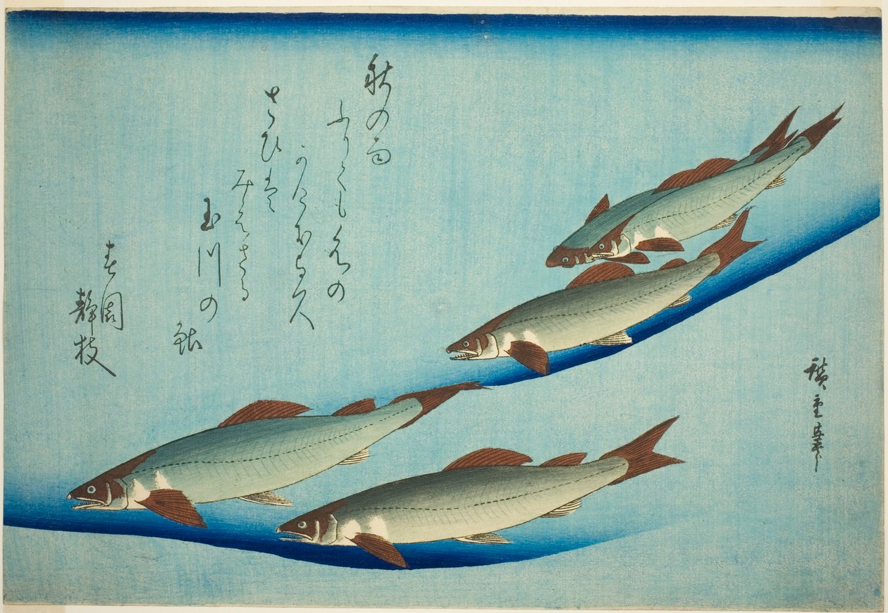 truta do rio de Utagawa Hiroshige