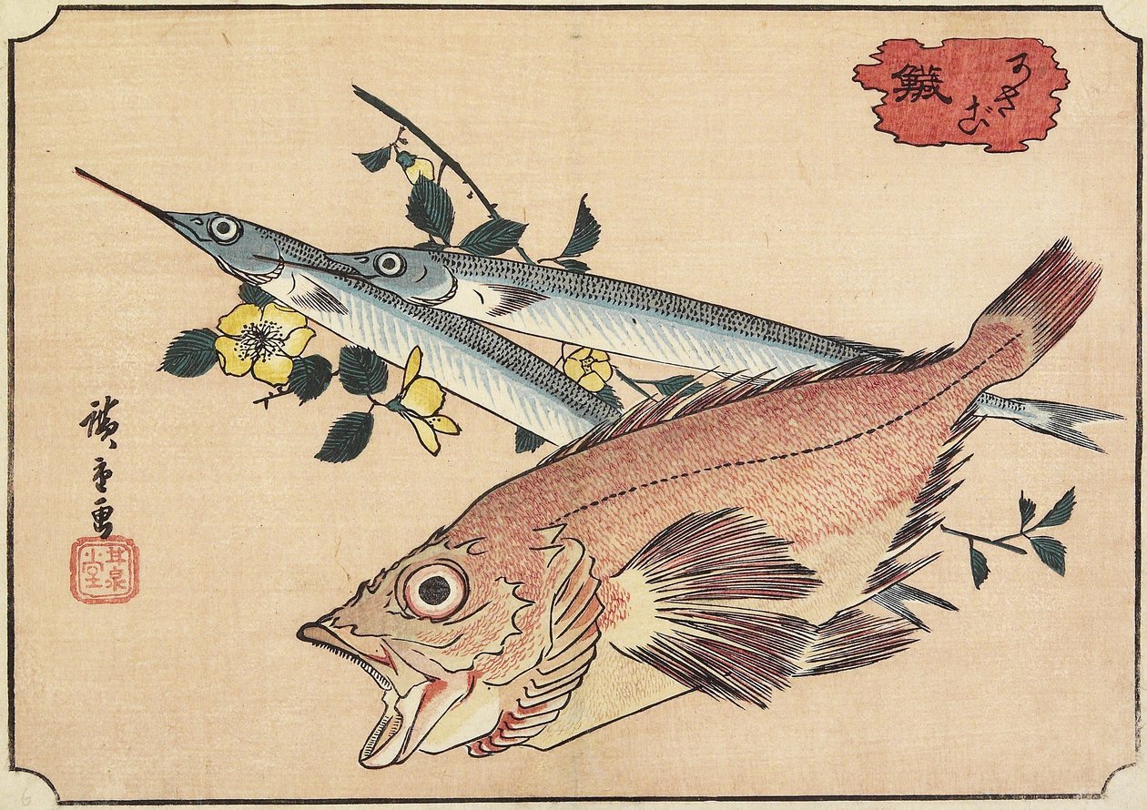 Rockfish e Halfbeak, início do século XIX de Utagawa Hiroshige