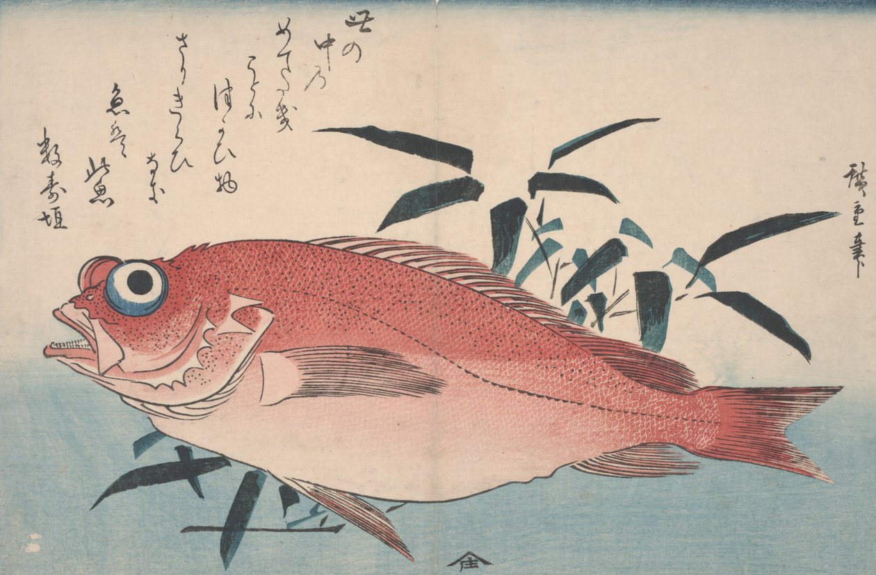 Sargo e grama de bambu, 1840 de Utagawa Hiroshige