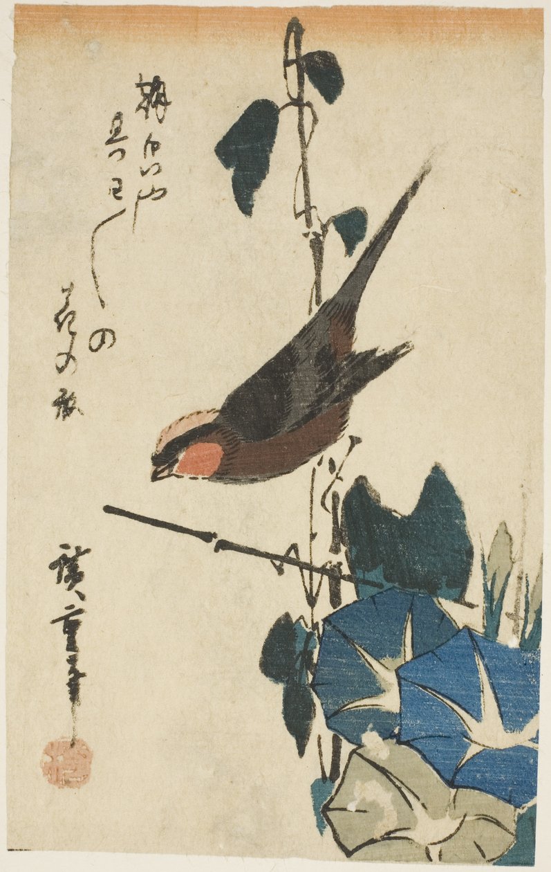 Pardal e glórias da manhã de Utagawa Hiroshige