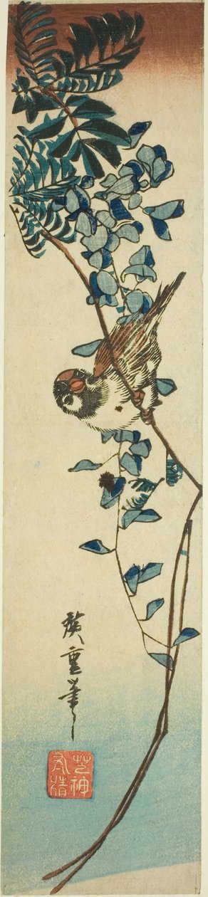 Pardal e glicínias de Utagawa Hiroshige