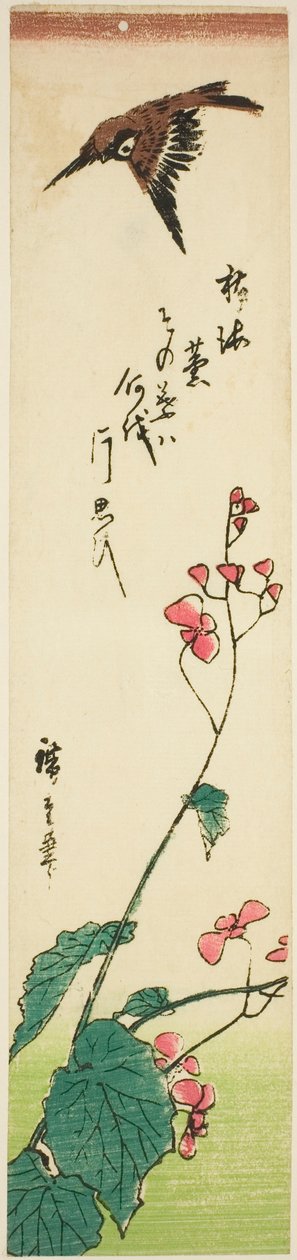Pardal voando sobre begônias de Utagawa Hiroshige