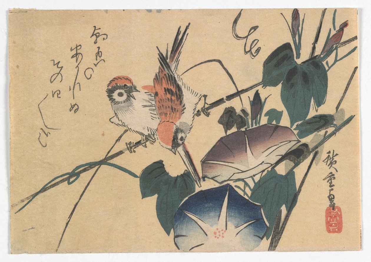 Sparrows and Morning Glories, período Edo, final dos anos 1830 (impressão em xilogravura a cores) de Utagawa Hiroshige