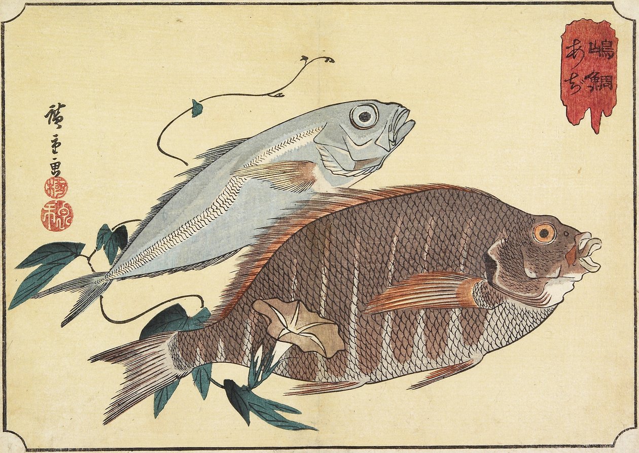 Snapper listrado e carapau, início do século XIX de Utagawa Hiroshige