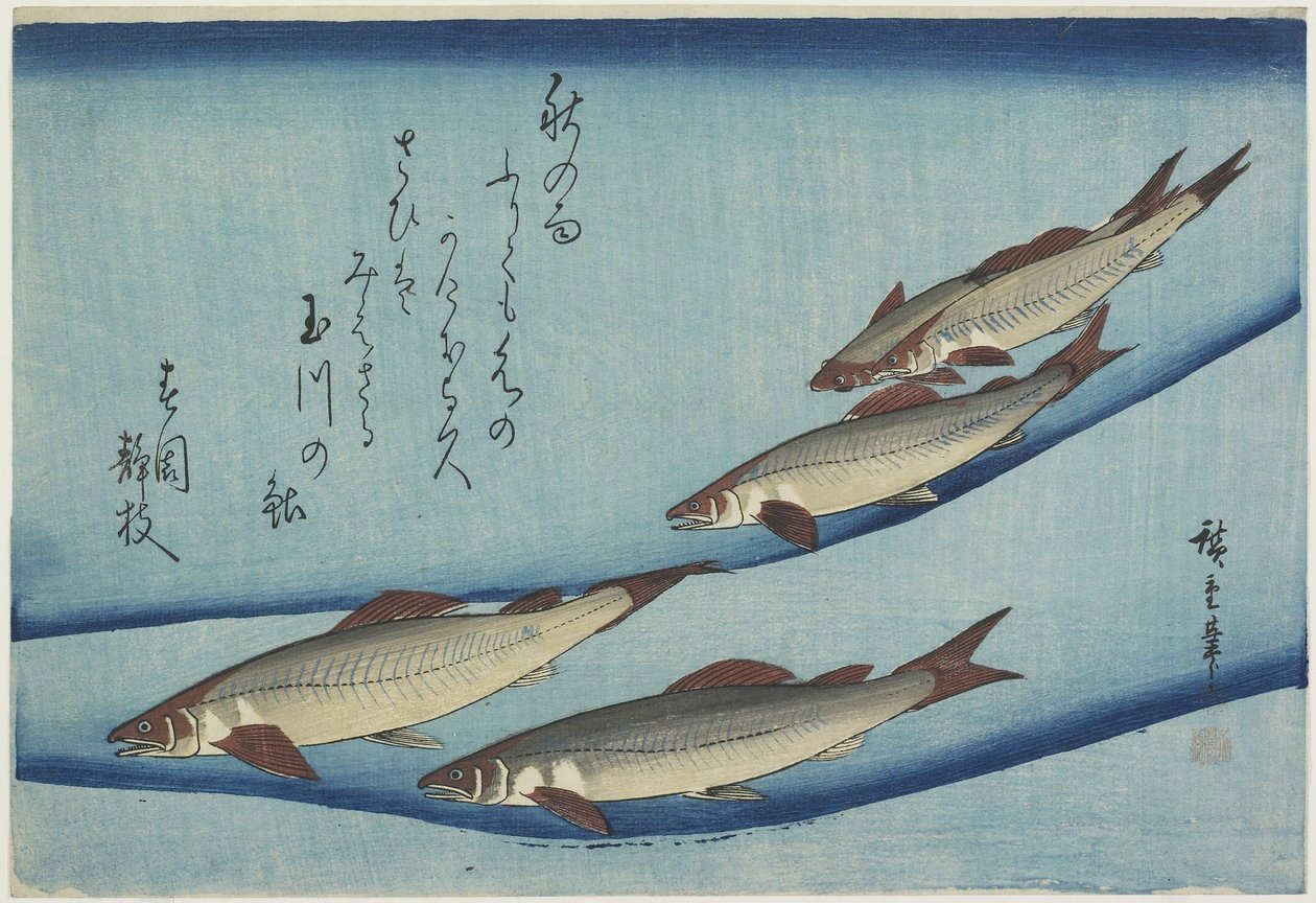Sweetfish, 1832-1833 de Utagawa Hiroshige