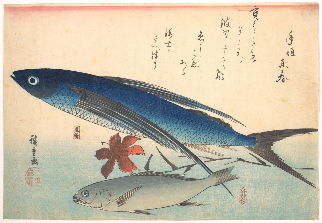 Peixes tobiuo e ishimotchi, da série Uozukushi (Todas as variedades de peixe) de Utagawa Hiroshige