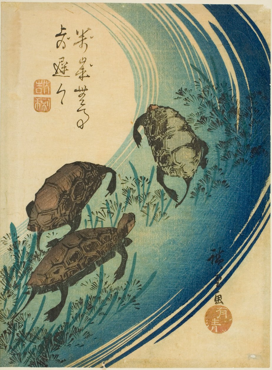 Tartarugas nadando em um riacho de Utagawa Hiroshige
