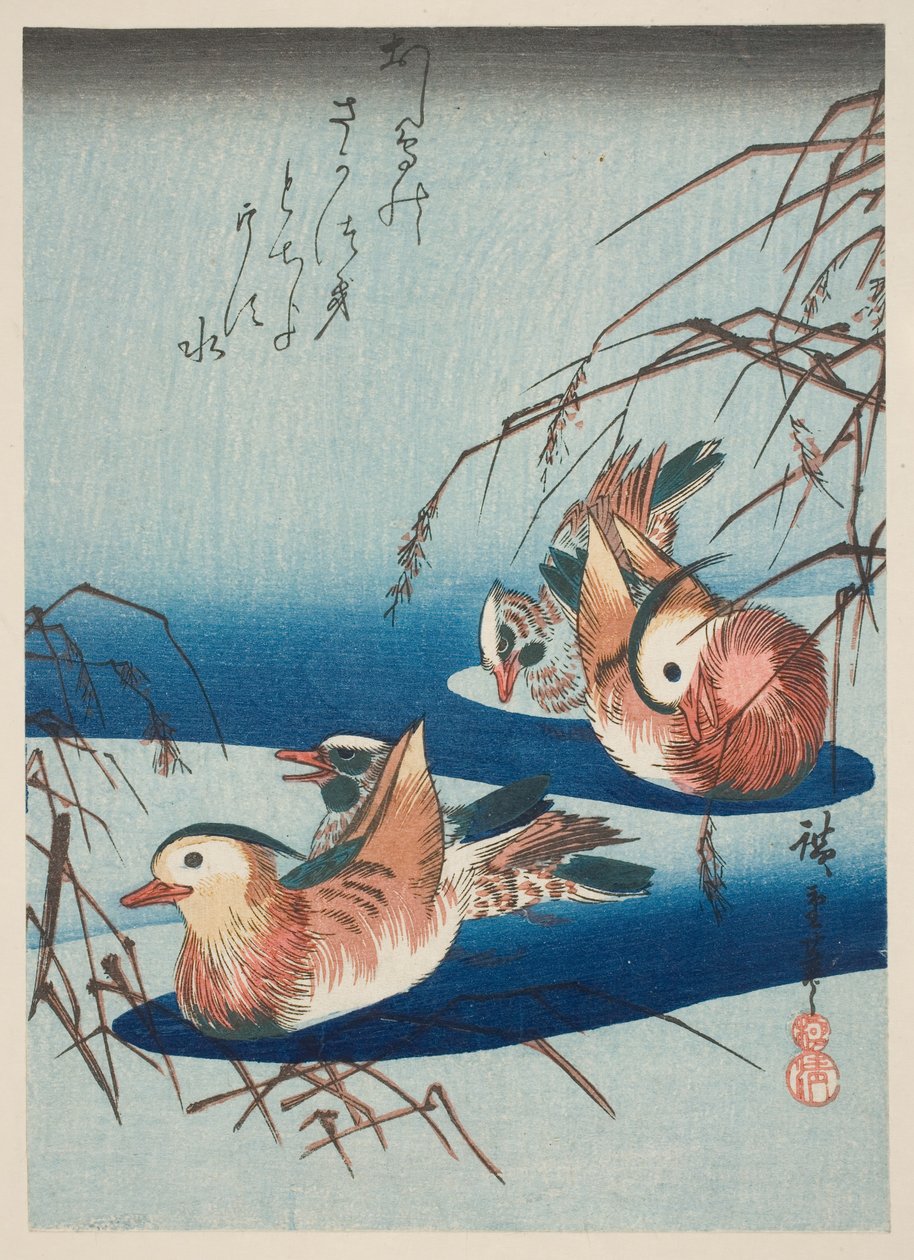 Dois pares de patos mandarim (impressão em xilogravura a cores) de Utagawa Hiroshige