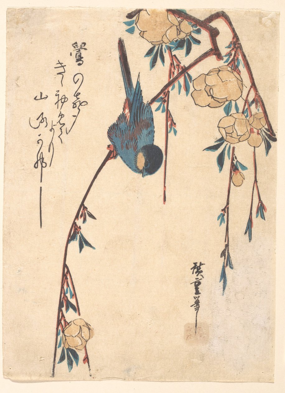 Cerejeira-chorona de Utagawa Hiroshige