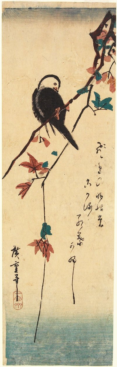 Pássaro de cabeça branca num ramo de ácer de Utagawa Hiroshige