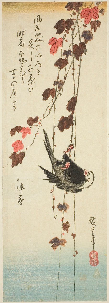 Ave de cabeça branca e hera de Utagawa Hiroshige