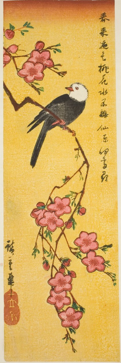 Pássaro de cabeça branca no ramo de pêssego de Utagawa Hiroshige