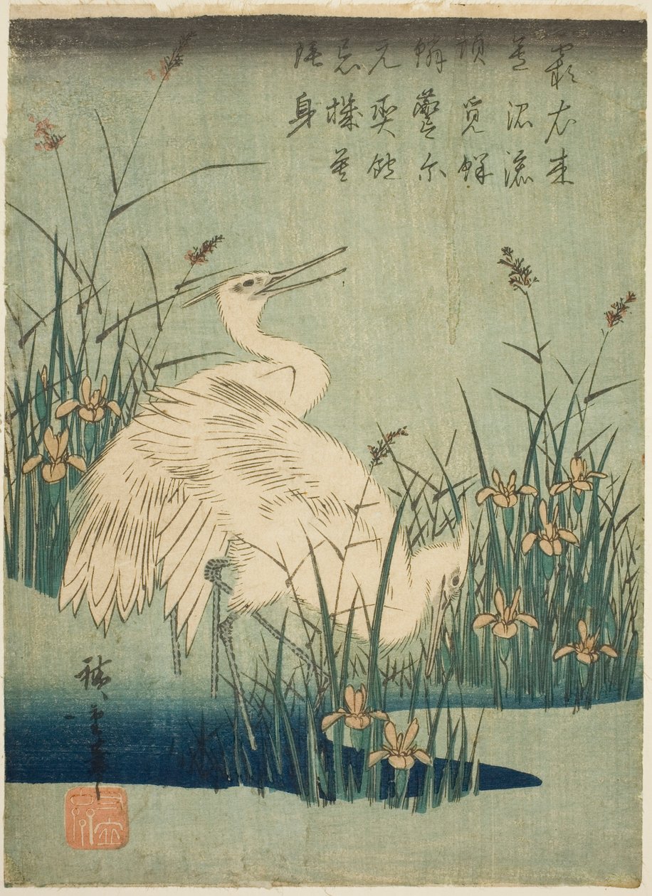 Garças brancas e íris de Utagawa Hiroshige